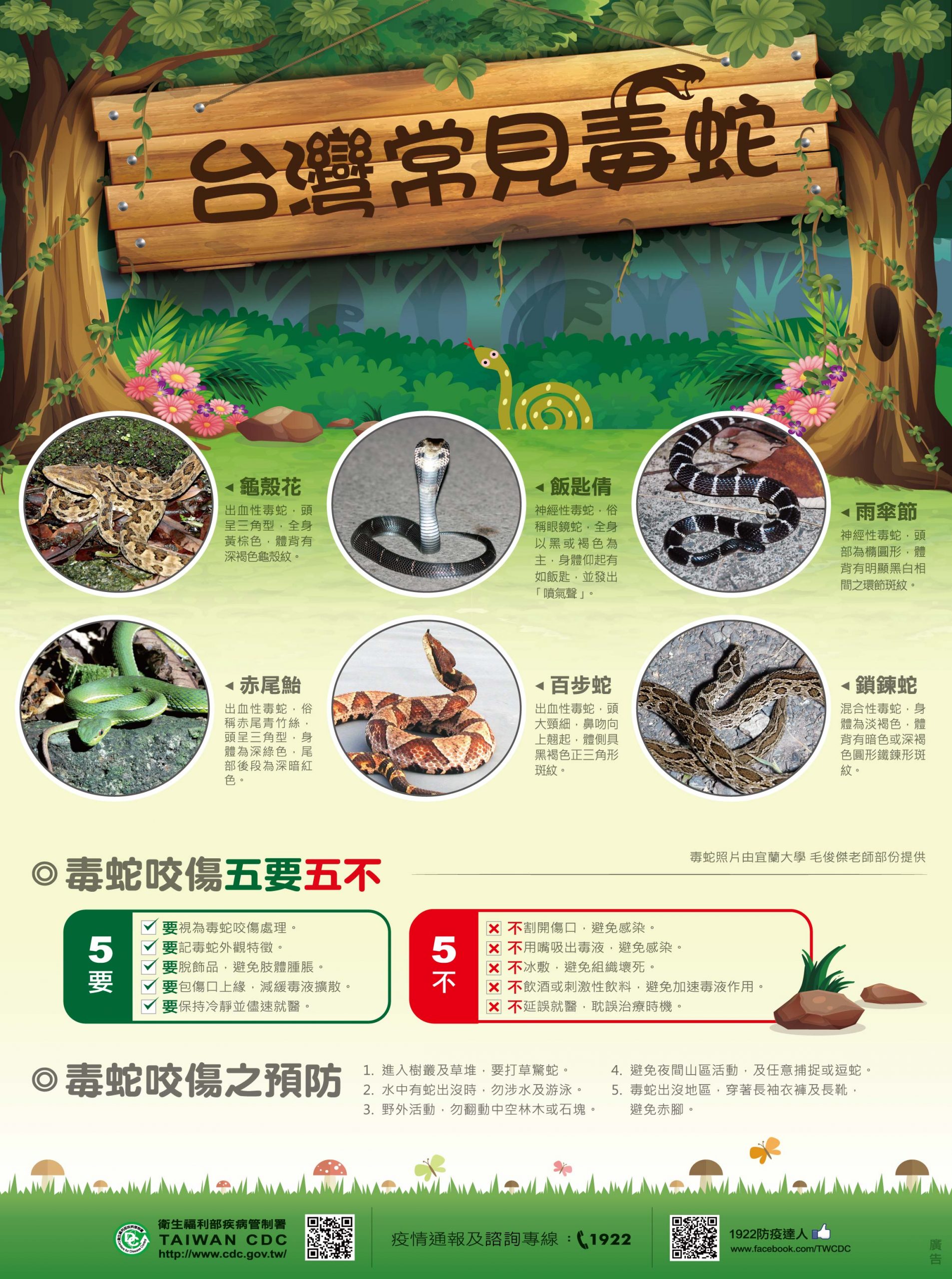 五一連假郊遊　衛生局提醒民眾防範毒蛇咬傷。(記者陳金泉翻攝)